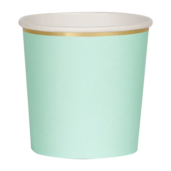 Mint Tumbler Cups