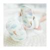 Ultimate Bundle, Dreams Full of Wonder - Mixed Gift Set - 8