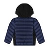 Blue Jacket, Navy - Jackets - 3