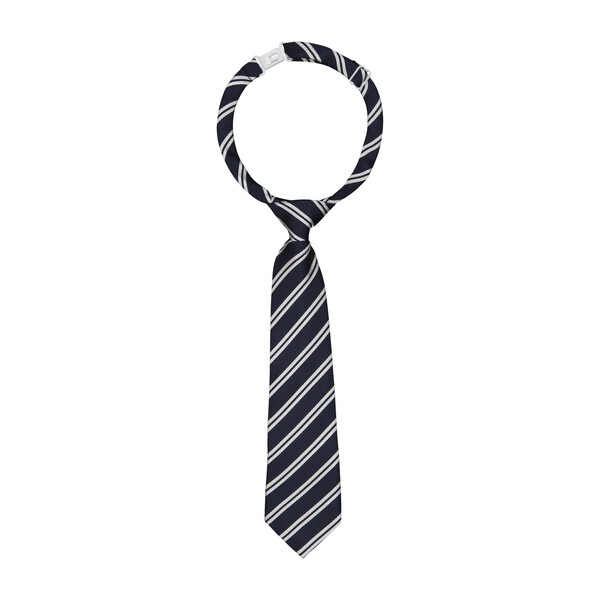 The Striped Snaz Tie, Navy
