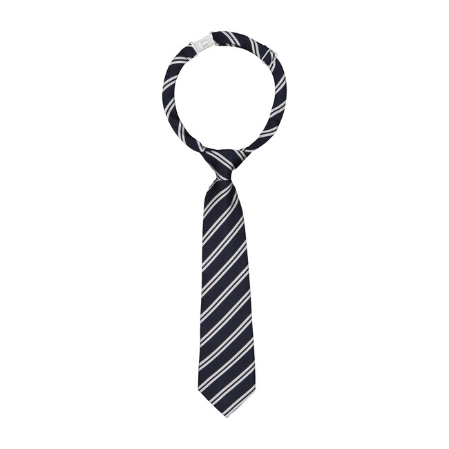 The Striped Snaz Tie, Navy