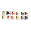 Chinese Zodiac Square Trinket Bowl, Pig - Accents - 3