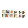 Chinese Zodiac Square Trinket Bowl, Monkey - Accents - 3