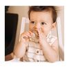 Forage Feeder, Foliage - Teethers - 4