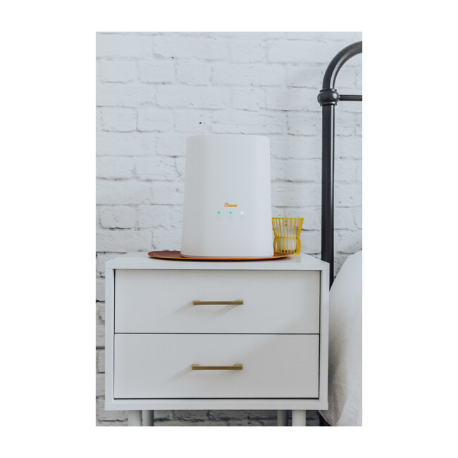 Top Fill Cool Mist Humidifier