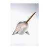 Narwhal Mount - Wall Décor - 2