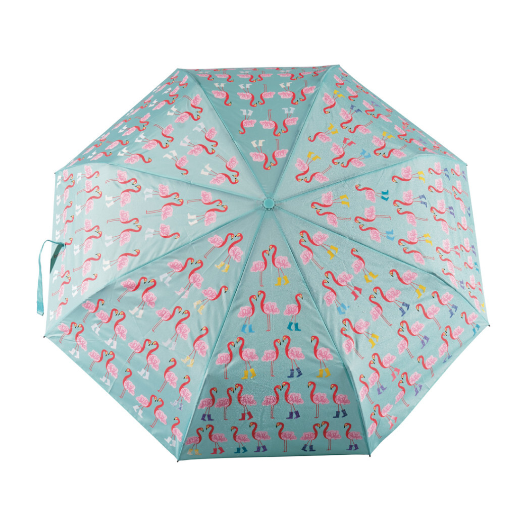 buy colour changing umbrella