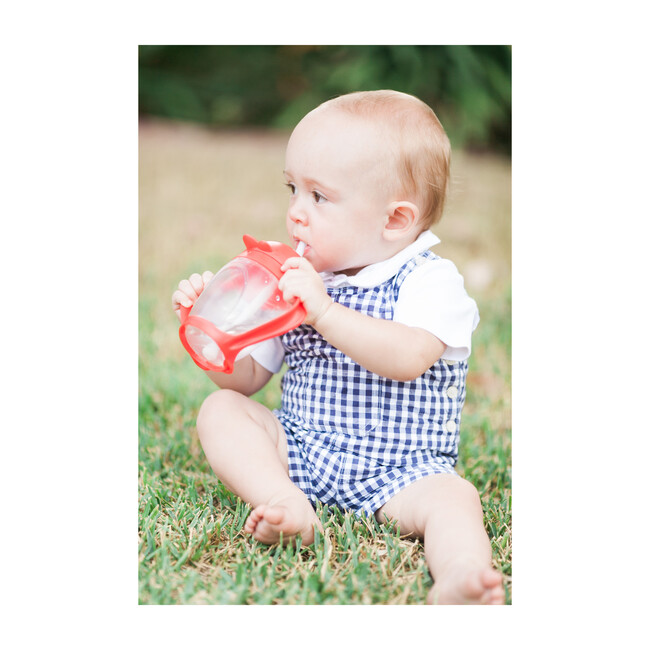 Lollacup, Red