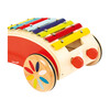 Xylo Roller - Push & Pull - 2