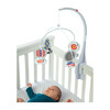 Wimmer-Ferguson Infant Stim-Mobile