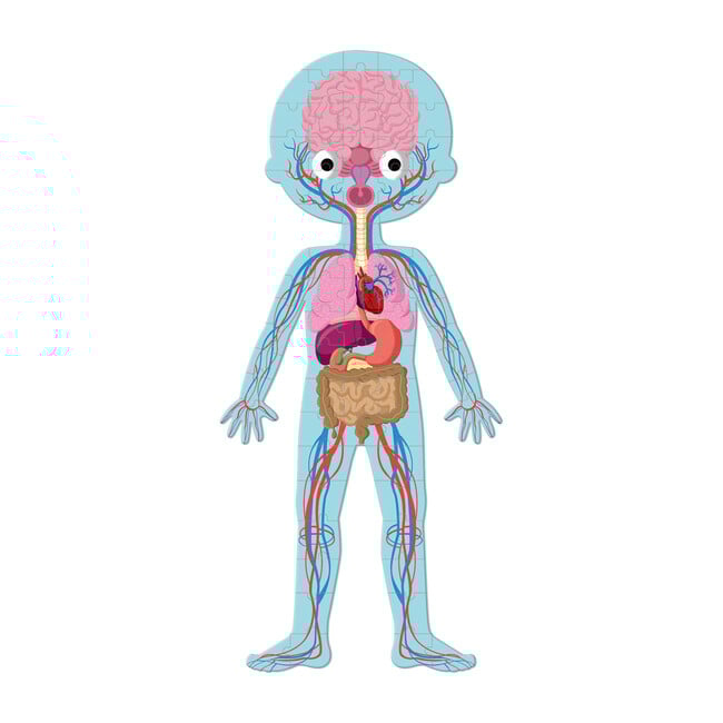 Human Body Educational Puzzle