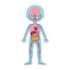 Human Body Educational Puzzle