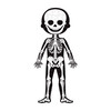 Human Body Educational Puzzle