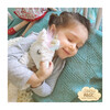 Unicorn Dream Doll House