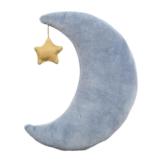 Velvet Moon Cushion