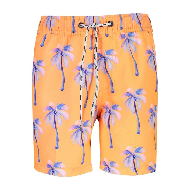 Sunset Moorings Palm Boardies
