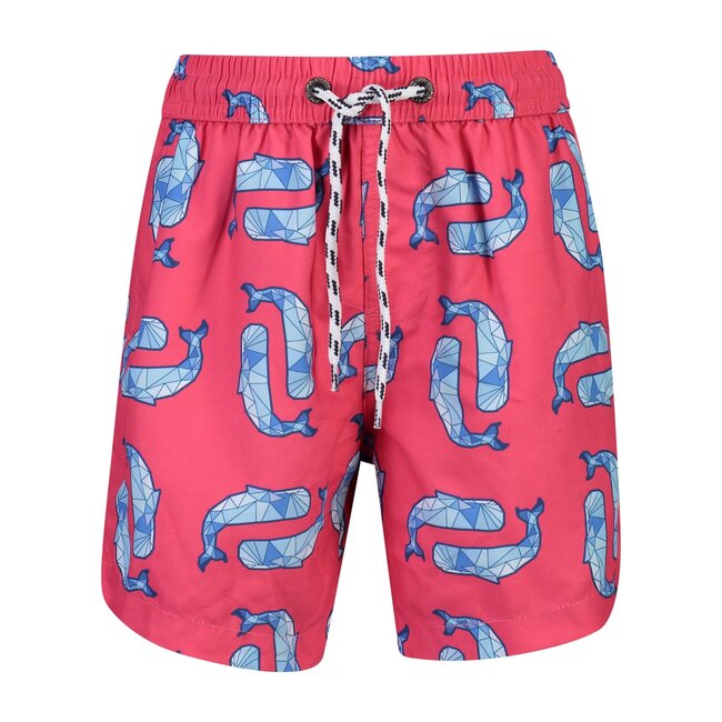 Geo Whale Boardies