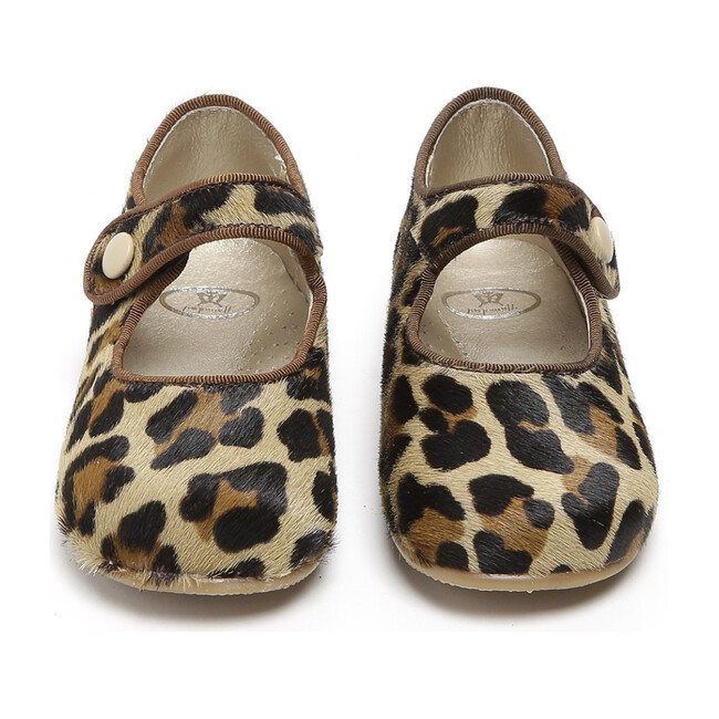 Catalina Mary Jane, Leopard