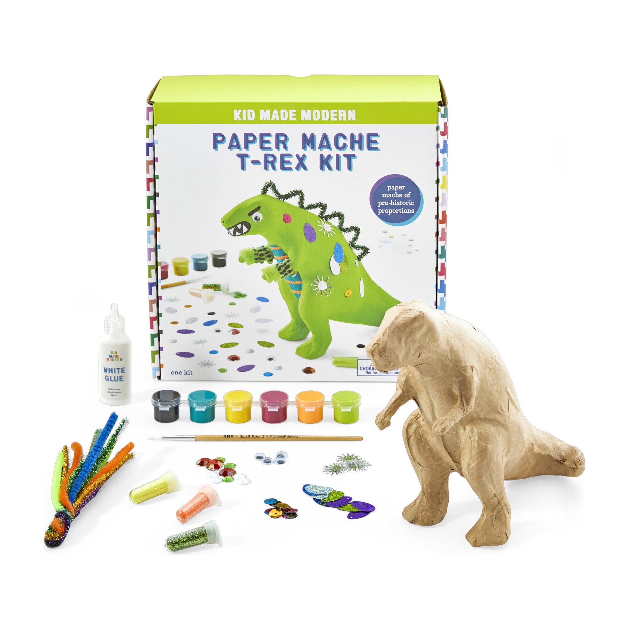 Paper Mache Kit, T-Rex