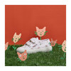 *Exclusive* Canvas Velcro Sneaker, Cat Tulips - Sneakers - 5