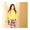 Jill Skirt, Stewart Tartan - Skirts - 2