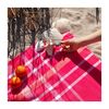 JR. Miramar Beach Towel, Fuschia - Towels - 2