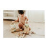 Family Variety Haircare Sampler Set - Shampoos - 2