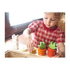 Counting Carrots - Woodens - 2
