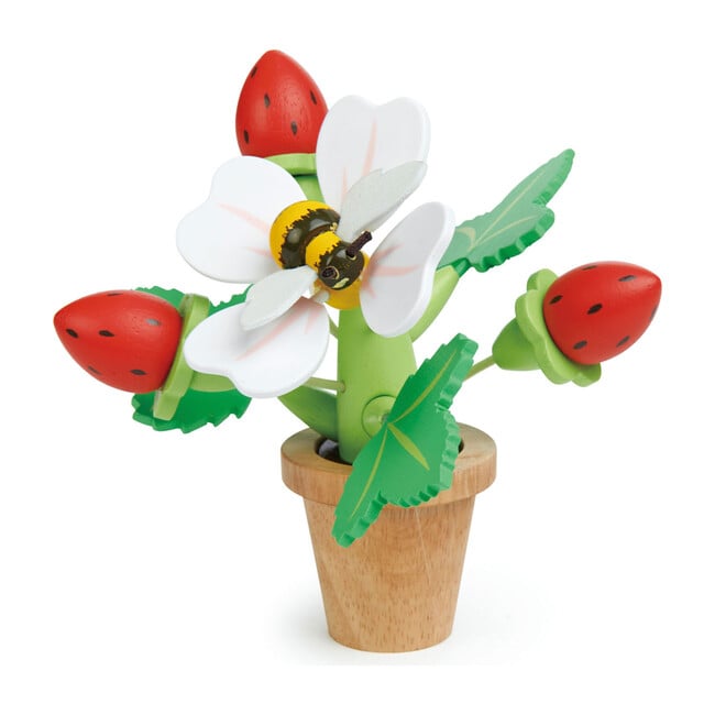 Strawberry Flower Pot