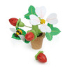 Strawberry Flower Pot