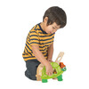 Tortoise Shape Sorter