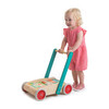 Baby Block Walker