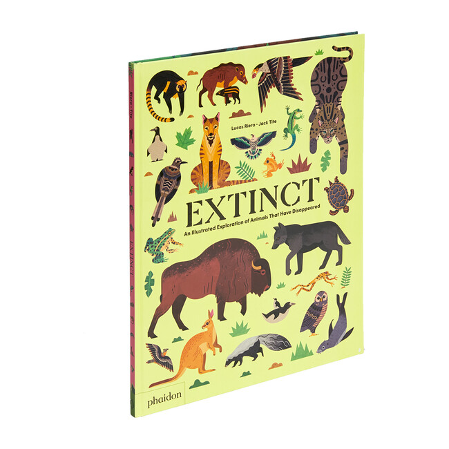 Extinct: An Illustrated Exploration of Animals That Have Disappeared - Books - 1