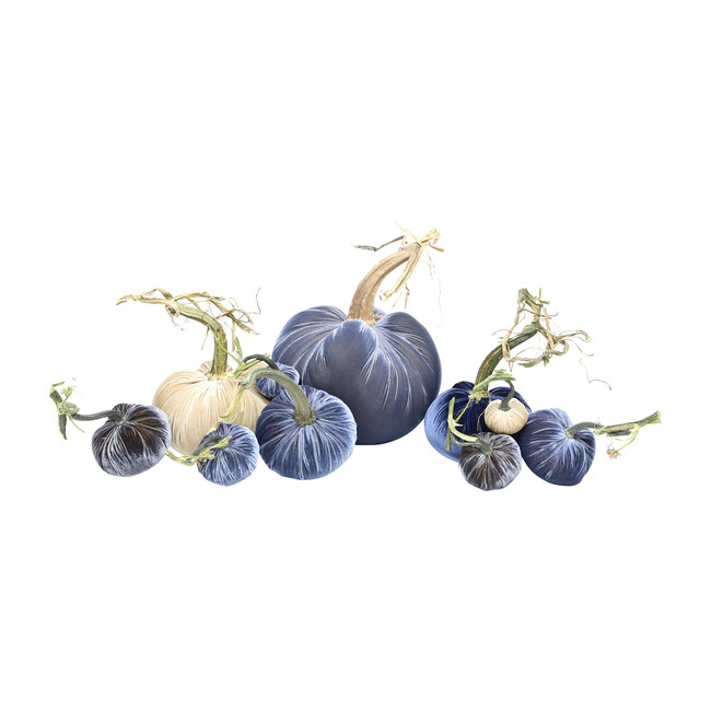 Exclusive Full Harvest Set, Blue