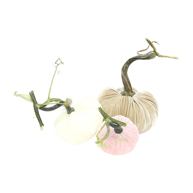 Exclusive Pumpkin Trio, Pink