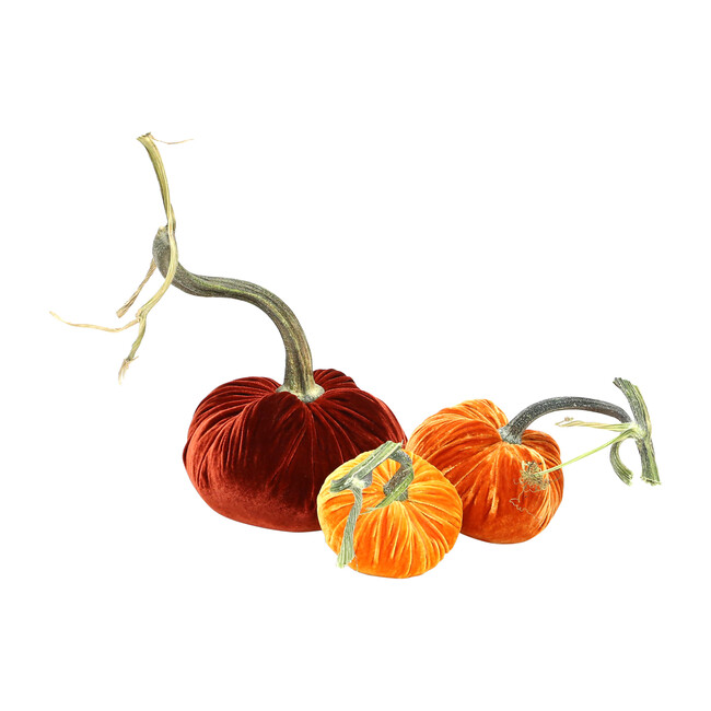 Exclusive Pumpkin Trio, Fall Sunset