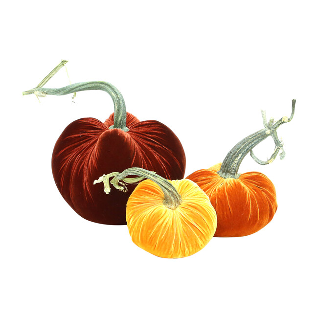 Exclusive Pumpkin Trio, Fall Sunset