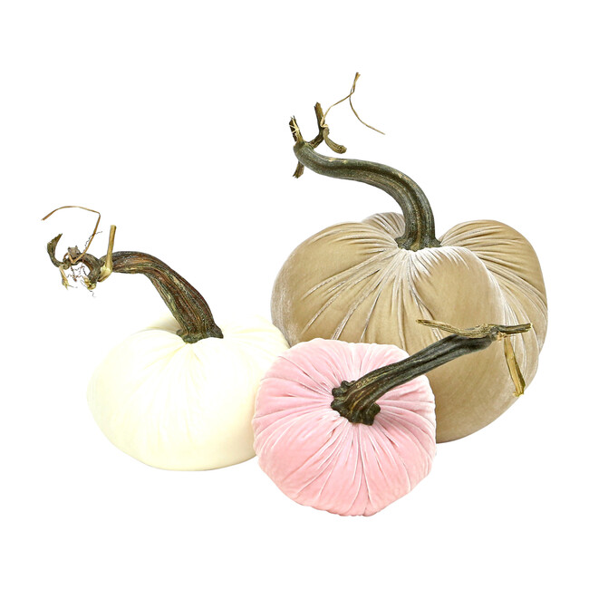 Exclusive Pumpkin Trio, Pink