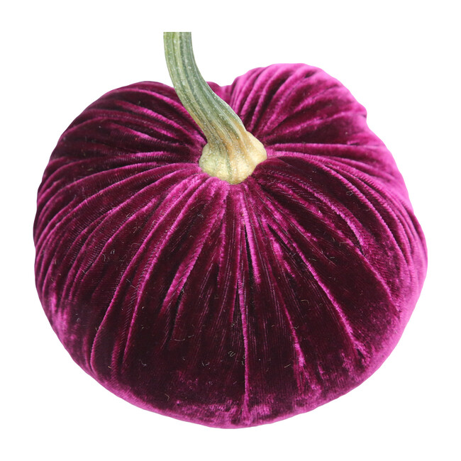 Velvet Pumpkin, Magenta