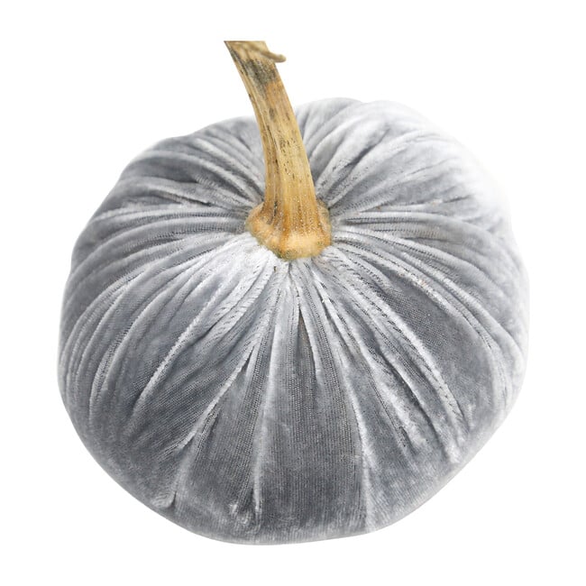 Velvet Pumpkin, Grey