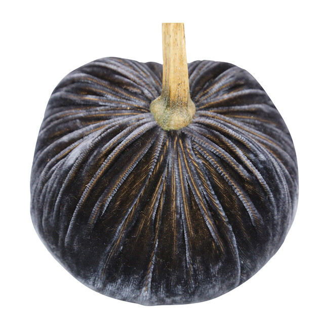 Velvet Pumpkin, Graphite