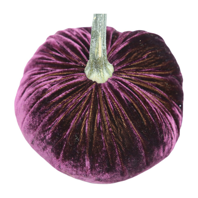 Velvet Pumpkin, Eggplant