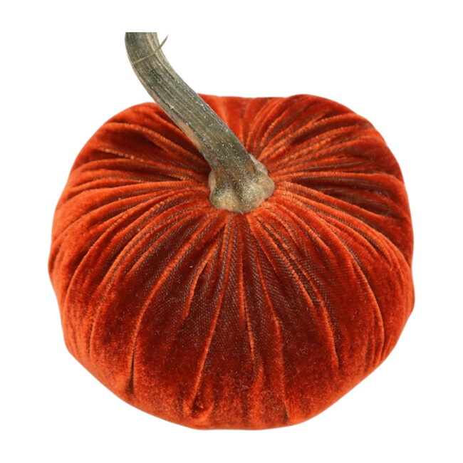Velvet Pumpkin, Apricot
