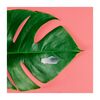 Coconut Oil Balm - Beauty Sets - 5