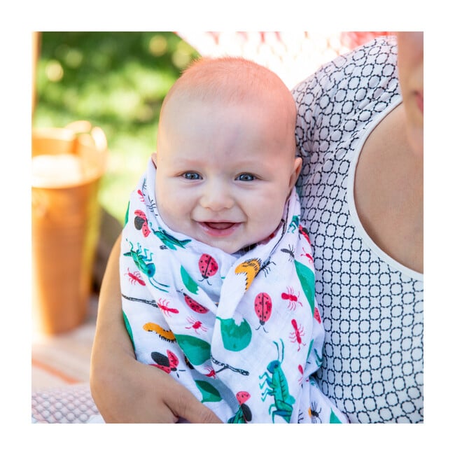 Swaddle Blankets, Bugs & Picnic