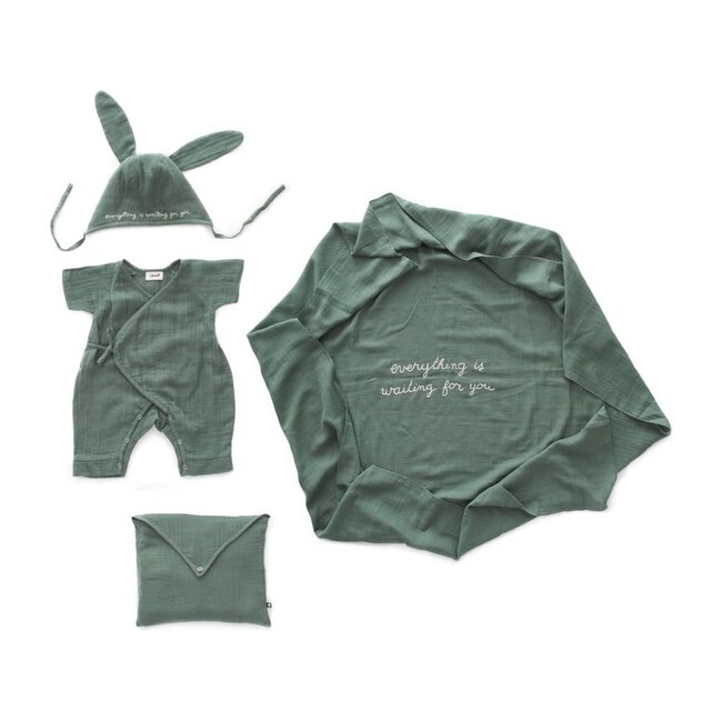 Baby Swaddle Set, Green - Swaddles - 1