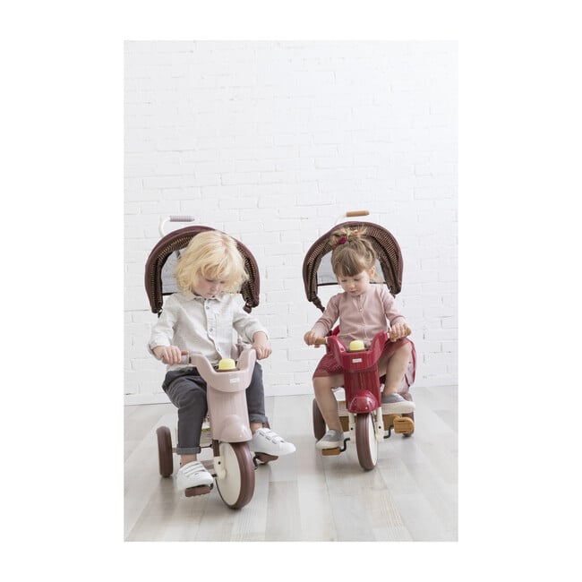 3-in-1 Folding Tricycle, Comfort Brown