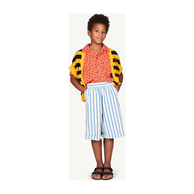 Buffalo Shorts, White Stripes