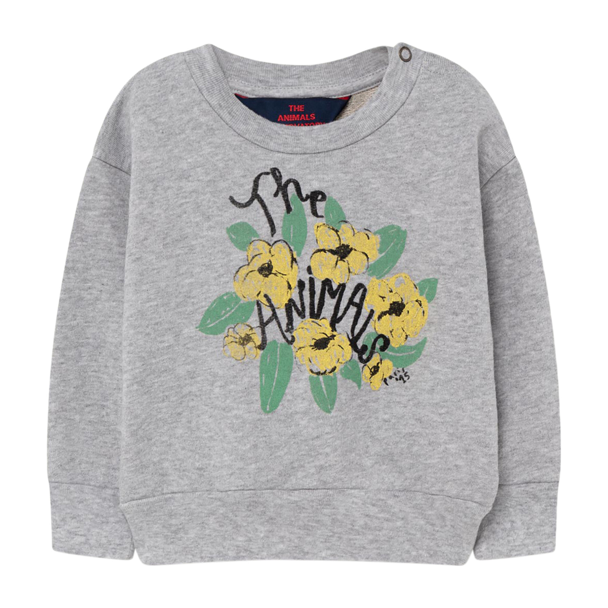 baby grey sweatshirt