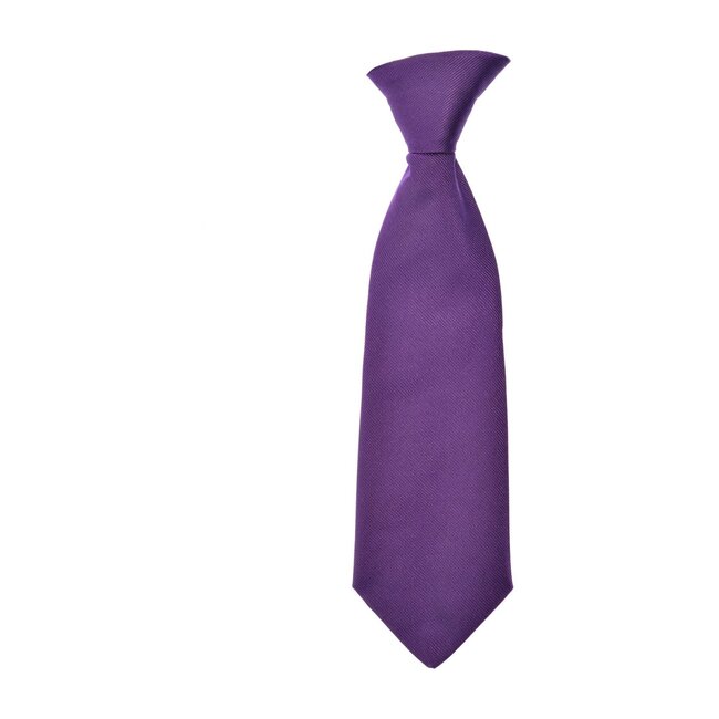 Cherwell Neck Tie, Regal Purple
